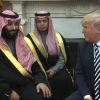 Trump to Saudi Crown Prince_ _$3 billion, $533 million, $525 million... That's peanuts for you!_ 0-3 screenshot