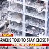 Israel is facing it’s destruction and no one pities it Untitled - 2025-06-15T135925.909